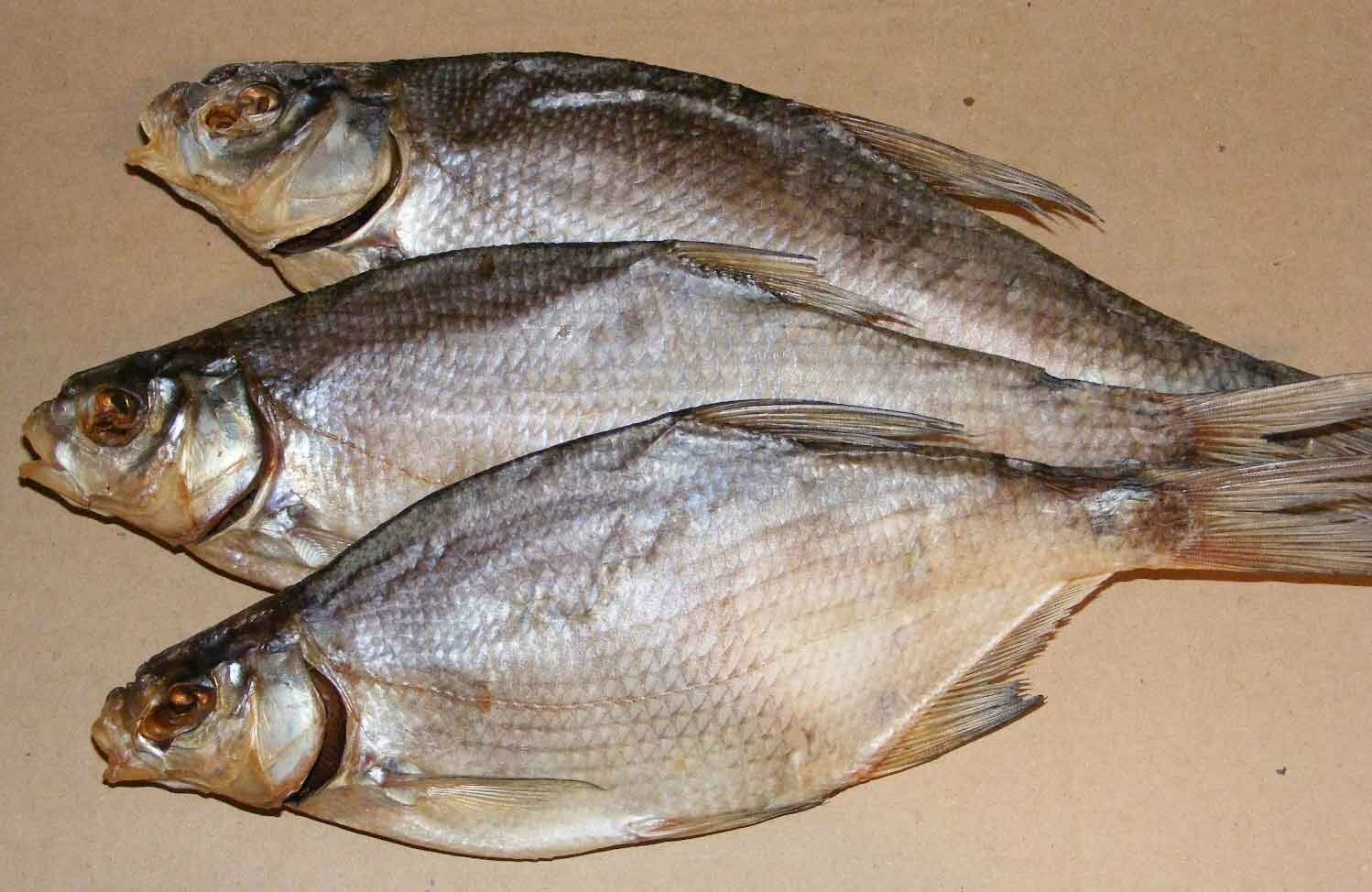 836 1000 2 - Как делать таранку из карася